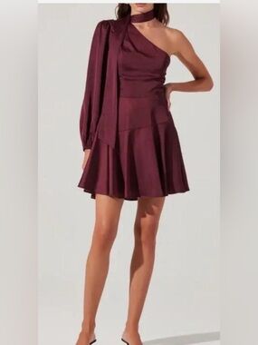 Petal & Pup One-Shoulder A-Line Dress in Burgundy